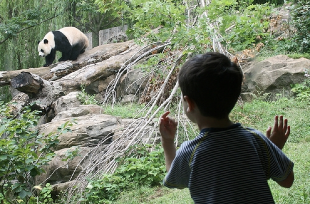 captivity